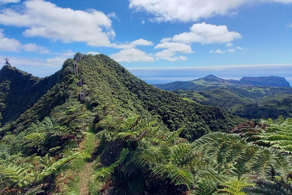 Espécies ameaçadas e habitats preciosos para serem melhor protegidos com novo impulso de financiamento para projetos de conservação no exterior