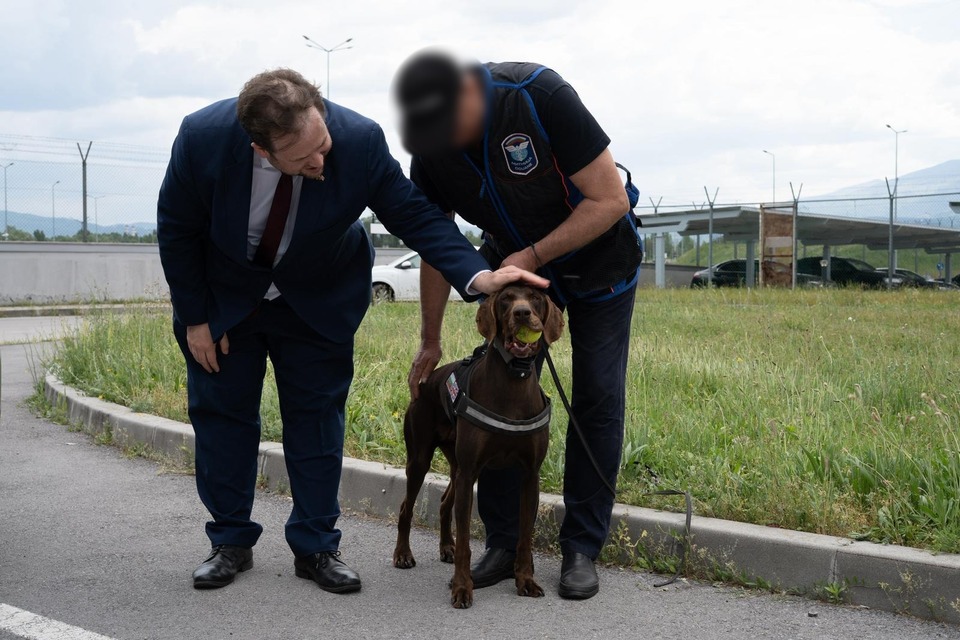 Reino Unido fortalece a segurança da fronteira com novos cães sniffer implantados na Bulgária