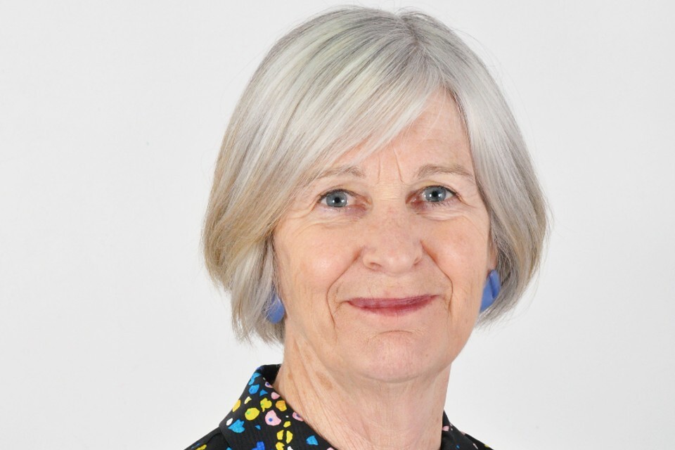 Dame Annie Hudson liderará a revisão do trabalho social Inglaterra